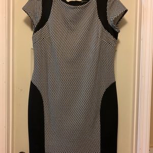 NEW DIRECTIONS Women’s Dress